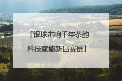 银球击响千年茶韵 科技赋能新昌赛景