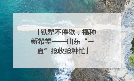 铁犁不停歇，播种新希望——山东“三夏”抢收抢种忙