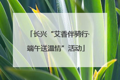 长兴“艾香伴骑行·端午送温情”活动