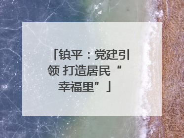 镇平：党建引领 打造居民“幸福里”