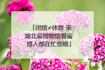闭馆≠休息 来湖北省博物馆看省博人都在忙些啥