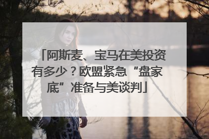 阿斯麦、宝马在美投资有多少？欧盟紧急“盘家底”准备与美谈判