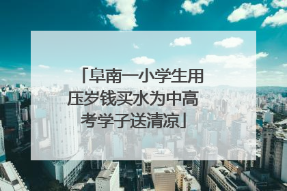 阜南一小学生用压岁钱买水为中高考学子送清凉