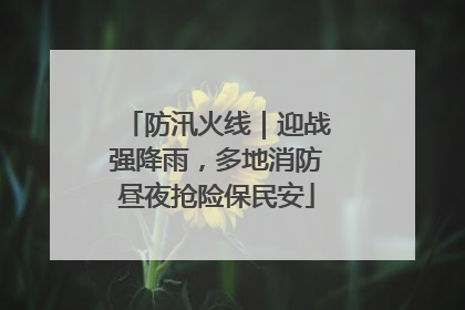 防汛火线｜迎战强降雨，多地消防昼夜抢险保民安