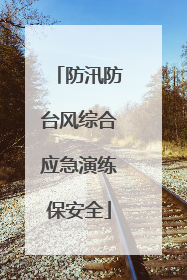防汛防台风综合应急演练保安全