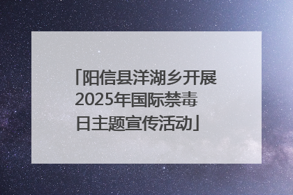 阳信县洋湖乡开展2025年国际禁毒日主题宣传活动