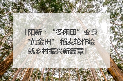 阳新：“冬闲田”变身“黄金田” 稻麦轮作绘就乡村振兴新篇章