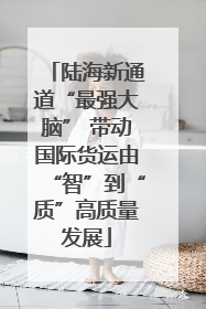 陆海新通道“最强大脑” 带动国际货运由“智”到“质”高质量发展
