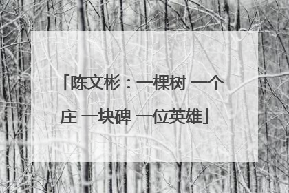 陈文彬：一棵树 一个庄 一块碑 一位英雄