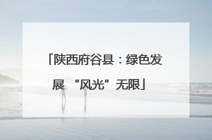 陕西府谷县：绿色发展 “风光”无限