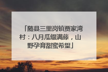 随县三里岗镇贾家湾村：八月瓜缀满藤，山野孕育甜蜜希望