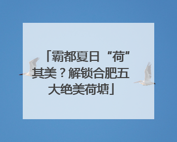 霸都夏日“荷”其美？解锁合肥五大绝美荷塘