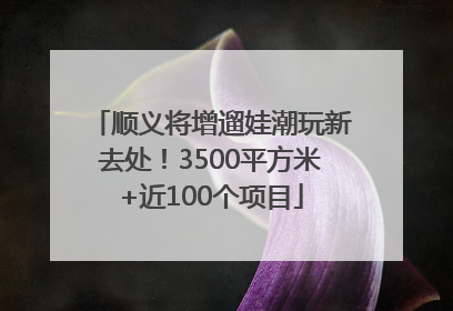 顺义将增遛娃潮玩新去处！3500平方米+近100个项目