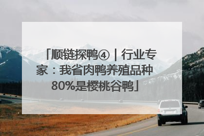 顺链探鸭④｜行业专家：我省肉鸭养殖品种80%是樱桃谷鸭