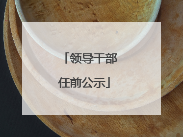 领导干部任前公示