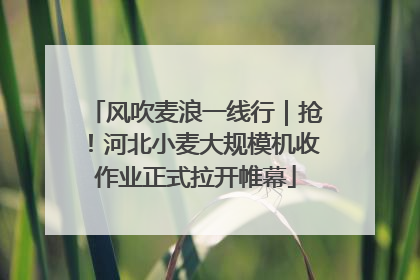 风吹麦浪一线行｜抢！河北小麦大规模机收作业正式拉开帷幕