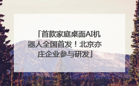 首款家庭桌面AI机器人全国首发！北京亦庄企业参与研发