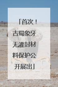 首次！古蜀象牙无灌封材料保护公开展出