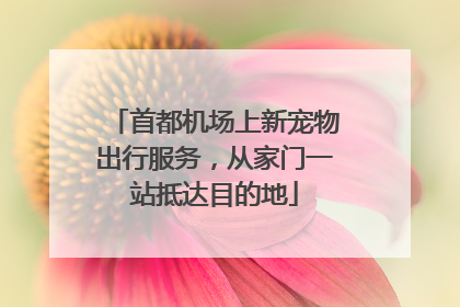首都机场上新宠物出行服务，从家门一站抵达目的地