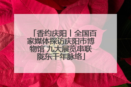 香约庆阳丨全国百家媒体探访庆阳市博物馆 九大展览串联陇东千年脉络