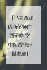 马来西亚侨商侨领广西研修 学中医看非遗谋发展