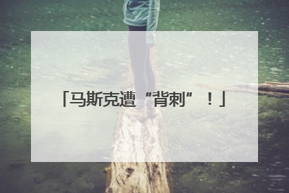 马斯克遭“背刺”！