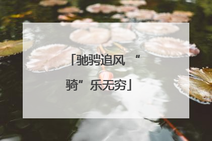 驰骋追风 “骑”乐无穷