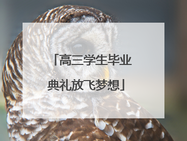 高三学生毕业典礼放飞梦想