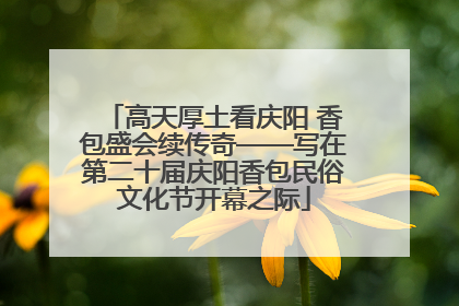 高天厚土看庆阳 香包盛会续传奇——写在第二十届庆阳香包民俗文化节开幕之际