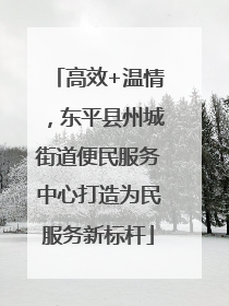 高效+温情，东平县州城街道便民服务中心打造为民服务新标杆