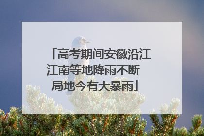 高考期间安徽沿江江南等地降雨不断 局地今有大暴雨