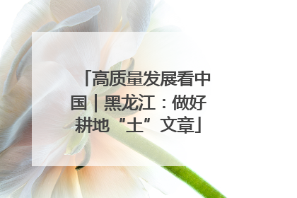 高质量发展看中国｜黑龙江：做好耕地“土”文章