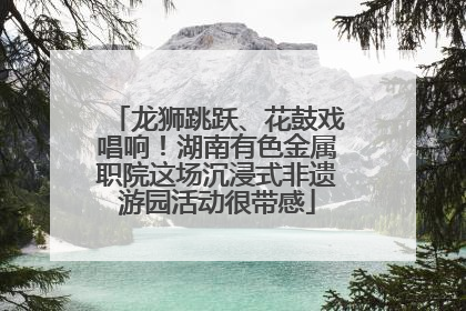 龙狮跳跃、花鼓戏唱响！湖南有色金属职院这场沉浸式非遗游园活动很带感