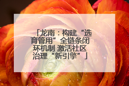 龙南：构建“选育管用”全链条闭环机制 激活社区治理“新引擎”