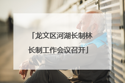 龙文区河湖长制林长制工作会议召开