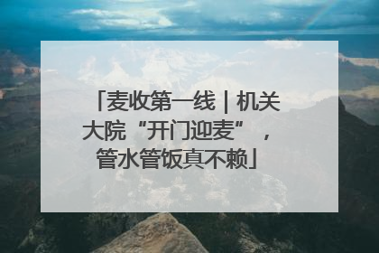 麦收第一线｜机关大院“开门迎麦”，管水管饭真不赖