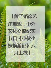 黄子韬徐艺洋加盟，中外文化交流纪实节目《小伙小妹换游记》六月上线