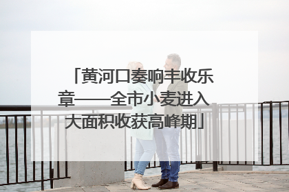 黄河口奏响丰收乐章——全市小麦进入大面积收获高峰期