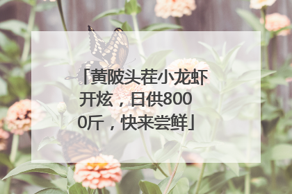 黄陂头茬小龙虾开炫，日供8000斤，快来尝鲜