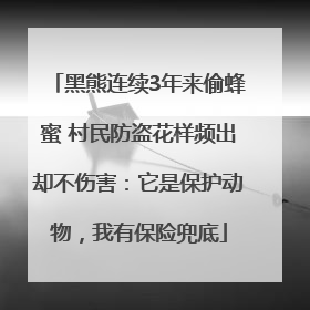 黑熊连续3年来偷蜂蜜 村民防盗花样频出却不伤害：它是保护动物，我有保险兜底