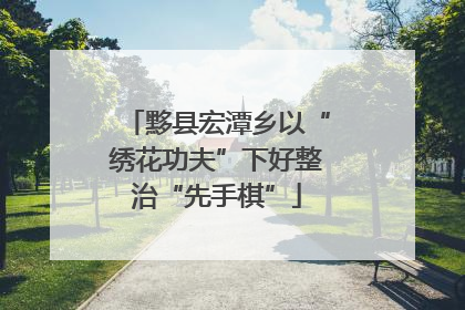 黟县宏潭乡以“绣花功夫”下好整治“先手棋”