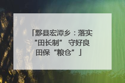 黟县宏潭乡：落实“田长制” 守好良田保“粮仓”