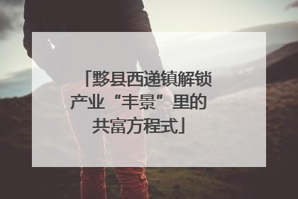 黟县西递镇解锁产业“丰景”里的共富方程式