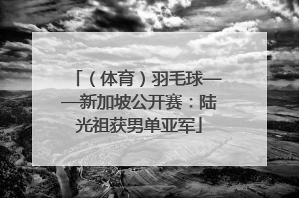 （体育）羽毛球——新加坡公开赛：陆光祖获男单亚军