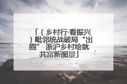 （乡村行·看振兴）毗邻统战破局“出圈” 浙沪乡村绘就共富新图景