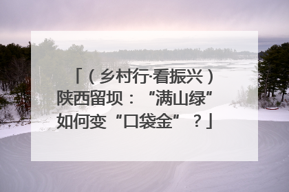 （乡村行·看振兴）陕西留坝：“满山绿”如何变“口袋金”？