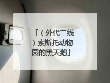 （外代二线）索斯托动物园的黑天鹅