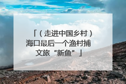 （走进中国乡村）海口最后一个渔村捕文旅“新鱼”
