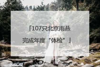 107只北京雨燕完成年度“体检”