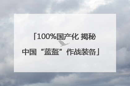 100%国产化 揭秘中国“蓝盔”作战装备